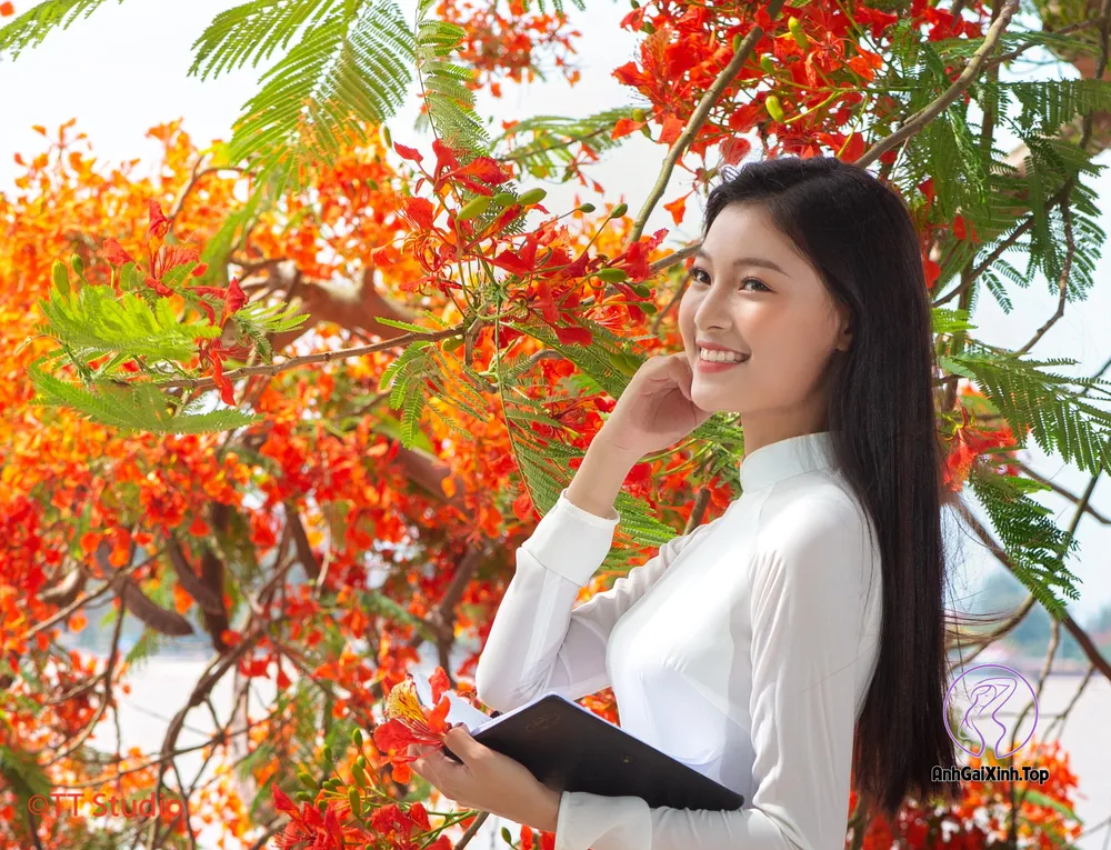 Ảnh đẹp nhất Việt Nam tại Hải Phòng